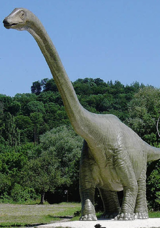 Eine Attraktion im Park ist der mit 45...lebensgroe Seismosaurus aus Plastik.   | Foto: BZ