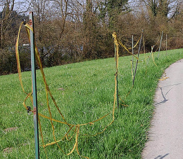 Auf 250 Metern zerschnittener Weidezaun   | Foto: Privat