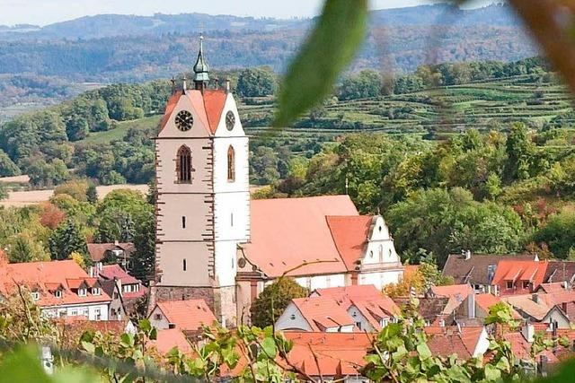 Peterskirche in Endingen: Stationen einer Renovierung