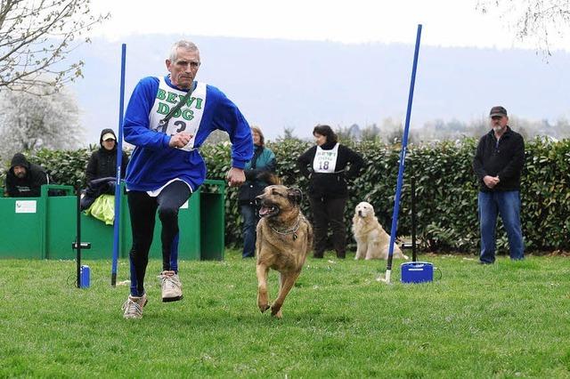 Hunde – Sportler und Helfer