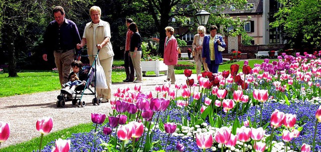 Tulpenfest im Lahrer Stadtpark: Ein 35...nges Blumenband durchzieht die Wiesen.  | Foto: ArchivFoto: Bader