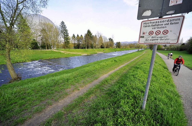 Der Damm der Dreisam in Betzenhausen m...ach rund 100 Jahren verstrkt werden.   | Foto: Thomas Kunz