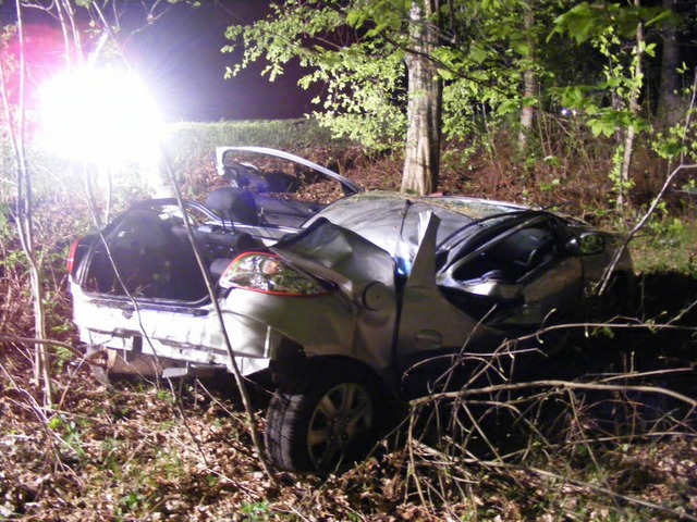 Ein totes, auf der Strae liegendes Wi...b, der Fahrer starb noch am Unfallort.  | Foto: Polizei