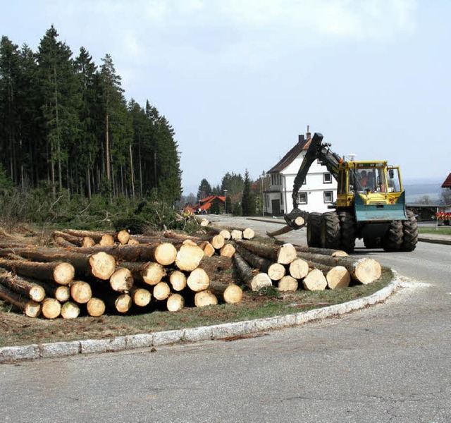 Der Wald an der Kreisstrae in Oberbr...ss einem neuen Gewerbegebiet weichen.   | Foto: G.Brichta