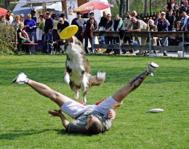 Ein echter Hingucker war die Hundeshow... Frisbee-Wurfscheibe undd Vierbeiner.   | Foto: Roland Vitt