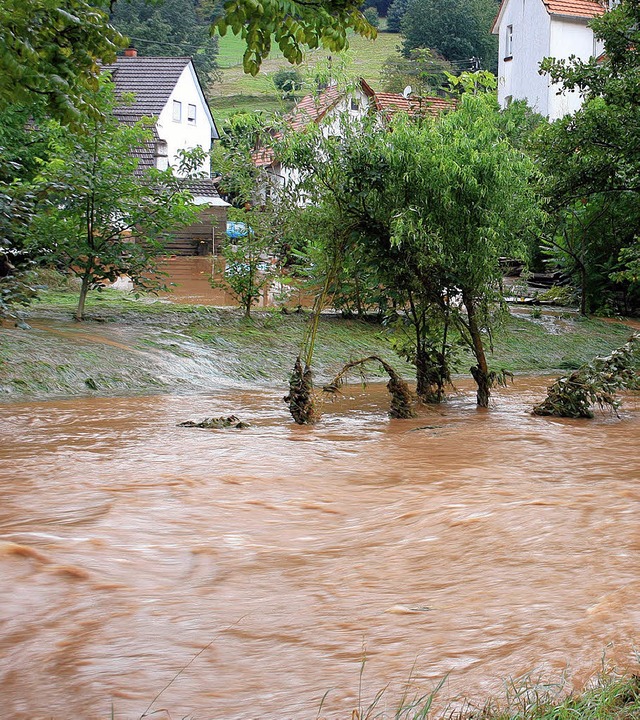ber die Ufer trat die Schutter am 1. September 2008 in Steinbach.  | Foto: Theo Weber