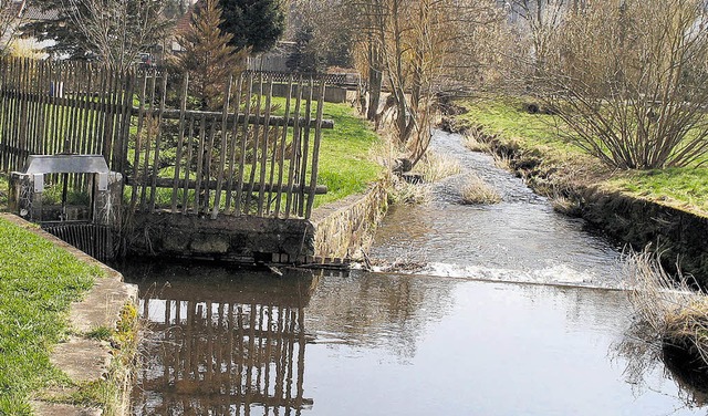 Mehr Hochwasserschutz fr Brunlingen:...t mehr ber seine Ufer treten knnen.   | Foto: BZ