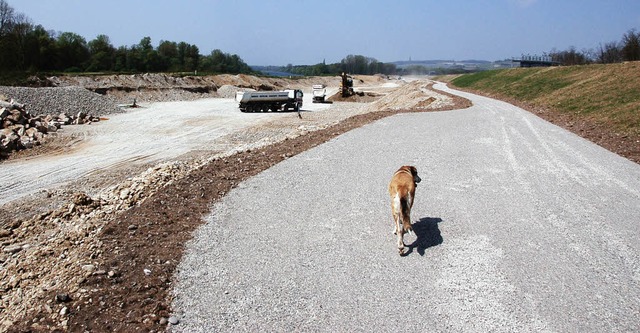 Der  Baustellenhund  nutzt schon den n...entlang des Schutzwalls zur Autobahn.   | Foto: jochen fillisch