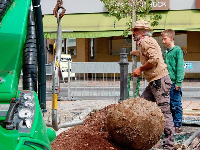 Auf dem Platz vor Feuerwehr und Altem ...m Freitag die Silberlinden gepflanzt.   | Foto: Babeck-Reinsch