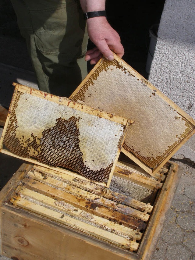 Futterreste, tote Bienen und verkotete...ch dem Winter in ihren Bienenhusern.   | Foto: Liane Schilling