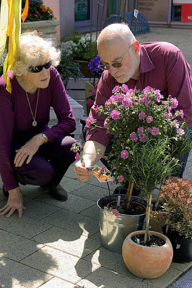 Viele Attraktionen beim Sthlinger Frhling!  | Foto: Jutta Binner-Schwarz