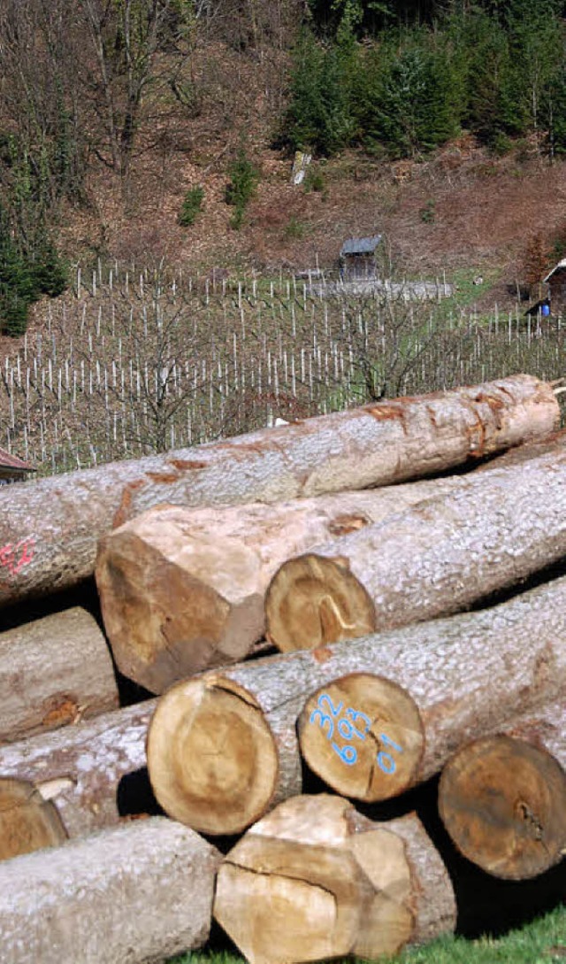 Mit dem Holzertrag 2009 ist die Weinbaugemeinde Glottertal zufrieden.   | Foto: Frank Kiefer