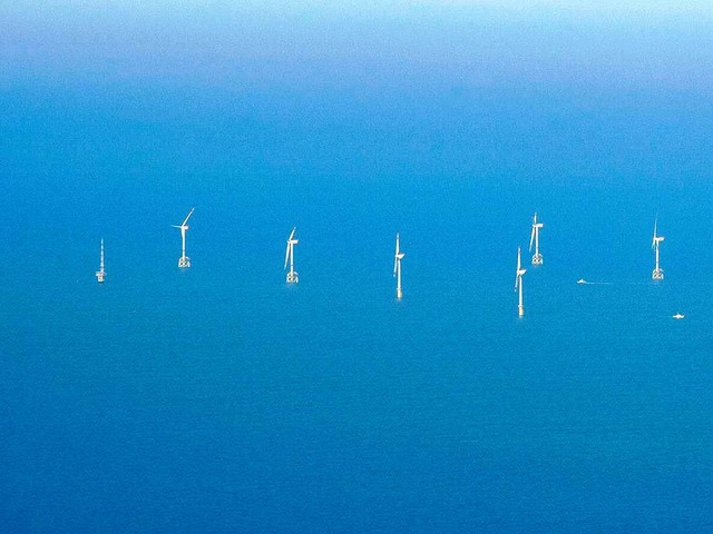 Bis zu 155 Meter ragen die Windrder v...ha Ventus aus der Nordsee in die Hhe.  | Foto: ddp