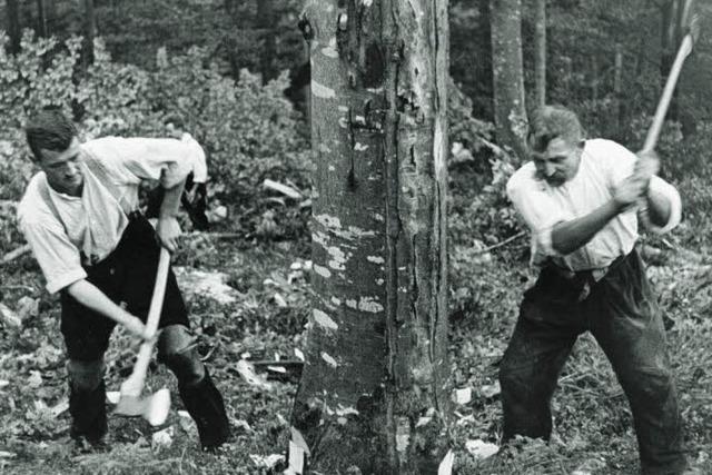 175 Jahre Forstamt Freiburg: Der Wald als Psychotop