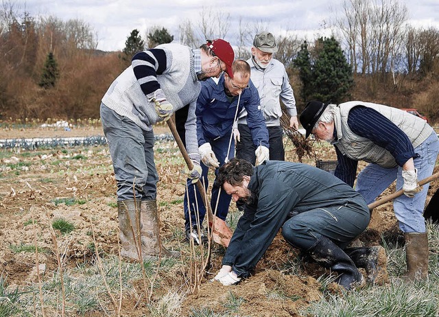 Der Naturschutz in und um Dogern ist d...t zu den Aufgaben der Naturschtzer.    | Foto: lins