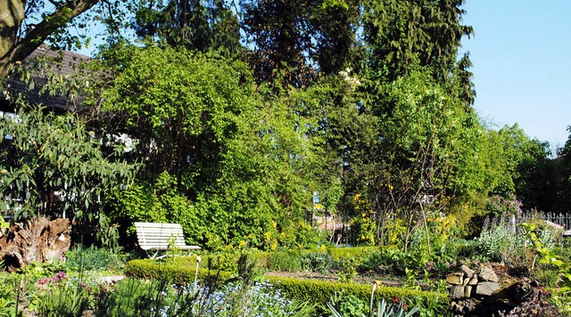 Ausschnitt aus dem Garten von Ingrid und Berthold Breitkreuz in Rheinau-Linx  | Foto: ullmann