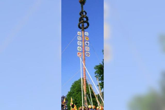 Der Maibaum ist 24 Meter hoch