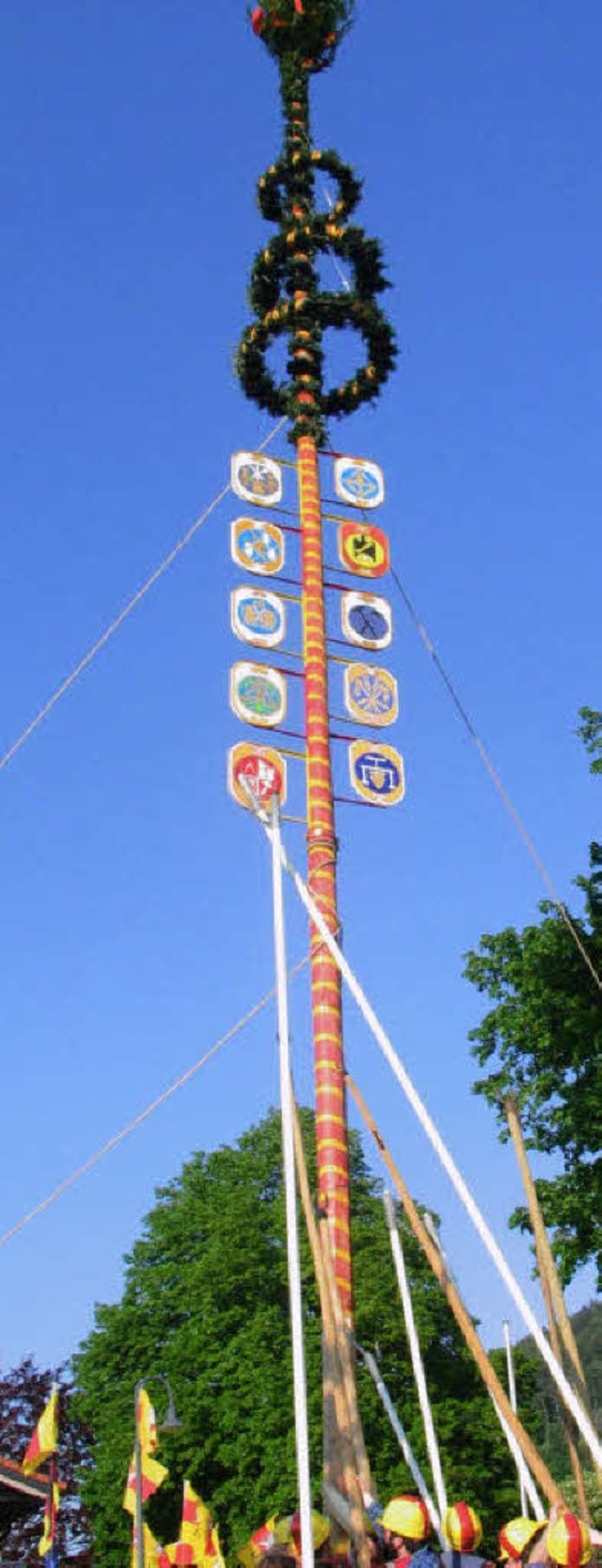 Spektakel: Der Maibaum wird in Bleibach am Freitagabend aufgestellt.   | Foto: Archivfoto: Gerda Oswald