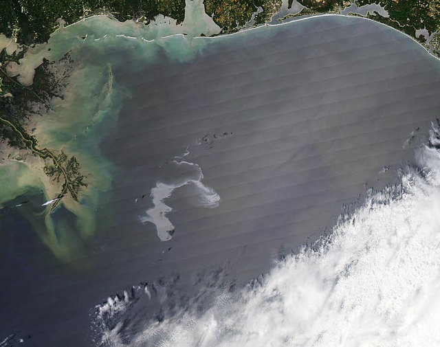 Diese Satellitenaufnahme  zeigt den lteppich im Golf von Mexiko.   | Foto: dpa