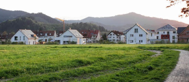 Erste Huser stehen schon im Kirchzart...plan jetzt nachgebessert werden muss.   | Foto: Barbara Schmidt