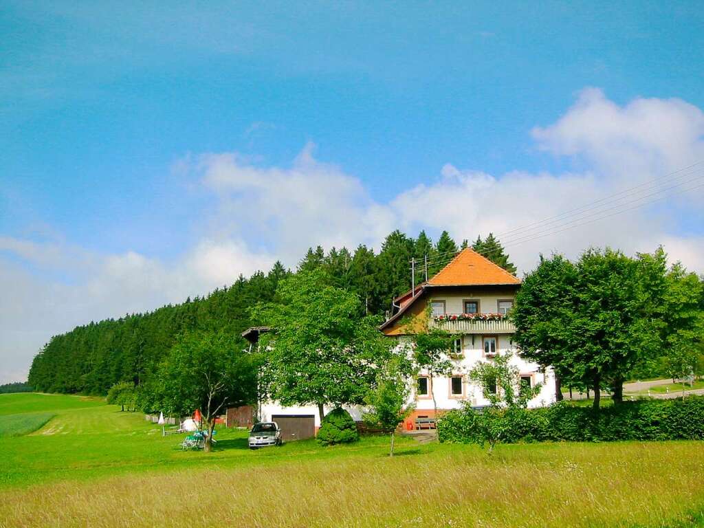 Das Gasthaus Kreuz auf dem Lahrer Geisberg - Gastronomie - Badische Zeitung