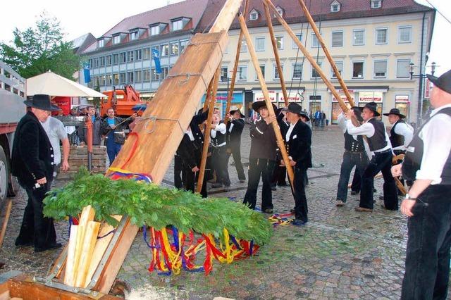 Fotos: Emmendingen - Maibaum der 11 Innungen steht