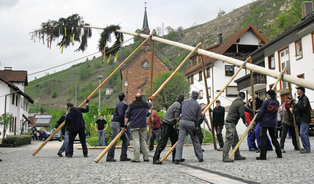 Mit Muskelkraft wird in Mambach der Maibaum errichtet.   | Foto: Kristin Fritz