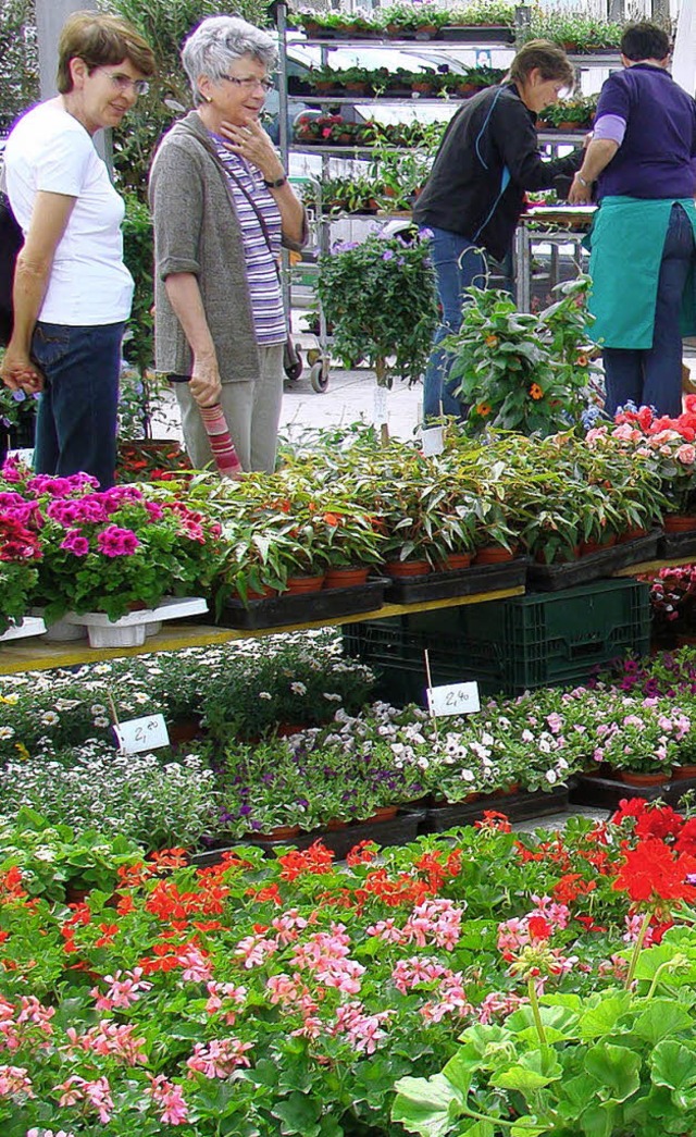 Die grne Stadt interessiert. Die erst...n sich zum Gartenwettbewerb gemeldet.   | Foto: Arndt