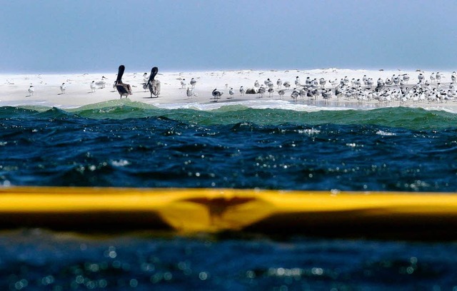 Mit einer lsperre sollen Pelikane und...ste von Mississippi geschtzt werden.   | Foto: dpa