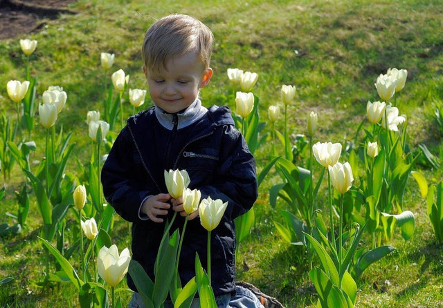 Blumen pflcken fr die Mama  | Foto: ddp