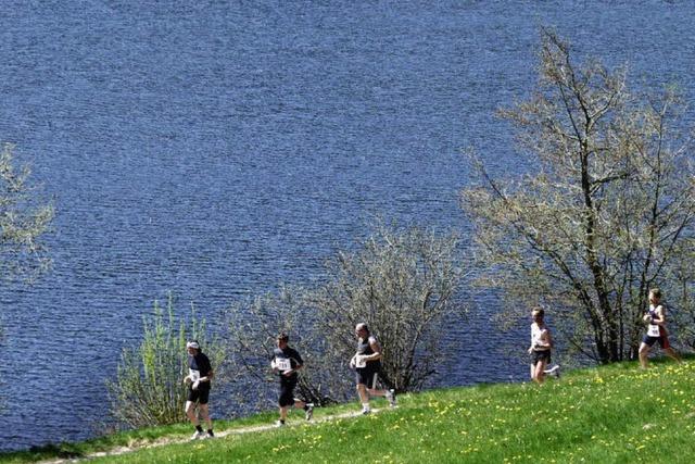 Tendenz steigend am Schluchsee