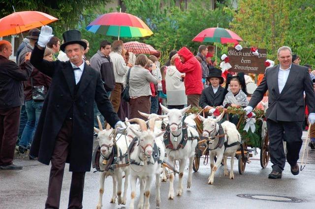 Festumzug zum Groen Hebelfest 2010