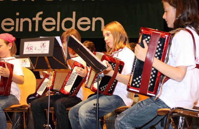 Der Nachwuchs des Akkordeon-Orchesters Rheinfelden beim Musizieren.  | Foto: Regina Bernstein