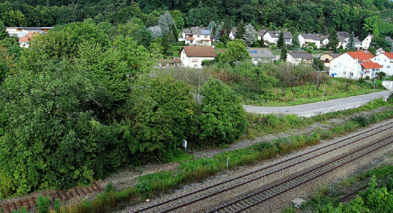 Zwischen Rippelbahn und dem Hörnli-Fri... erstreckt sich das Gebiet Hornacker.   | Foto: BZ-archiv