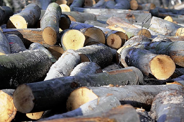 Waldbesitzer freuen sich ber den guten Holzpreis   | Foto: Archivfoto: Gollrad