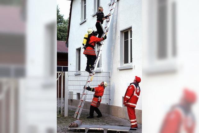 Mit bungsverlauf zufrieden