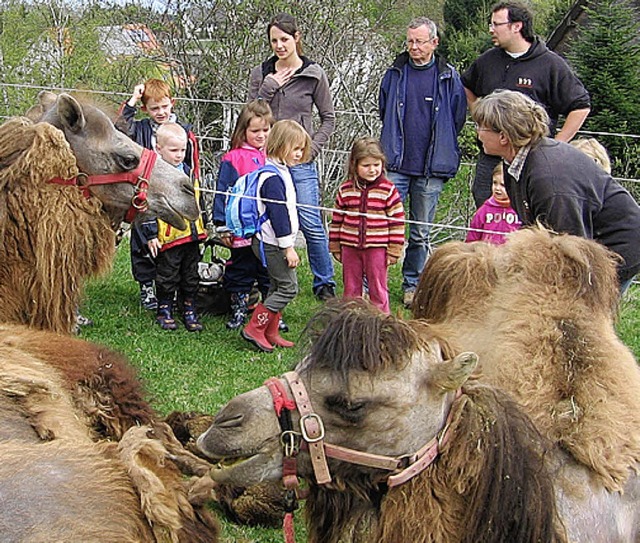 Die Kinder waren sehr neugierig auf die Tiere in Ebnet.   | Foto: privat