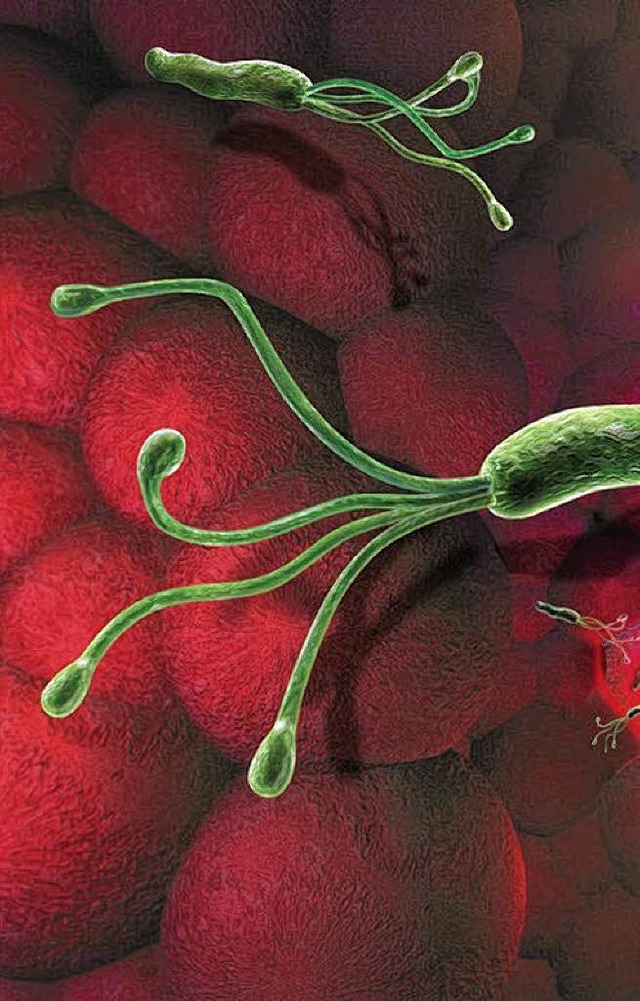 Schdlich? Das Bakterium Helicobakter pylori   | Foto: Grafik: dieaktivisten