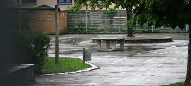 Schulhfe, Parkpltze, Terrassen &#821...r Boden versiegelt ist, desto besser.   | Foto: Marlies Jung-Knoblich