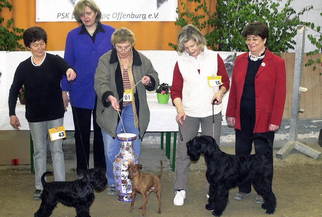 Die Besten bei der Hundeschau: (von li...s und Preisrichterin Elisabeth Feuz .   | Foto: DIeter Fink