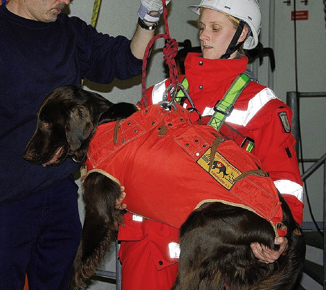 Abseilen will gebt sein: Rettungshund...erin bei der bung in der Feuerwache.   | Foto: BZ