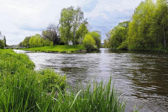 Ein Wahrzeichen am Beginn der Donau?