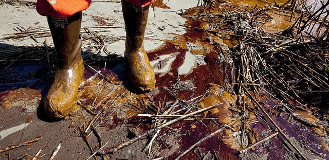Eine  lschicht bedeckt diesen Kstenabschnitt in  Louisiana.   | Foto: AFP