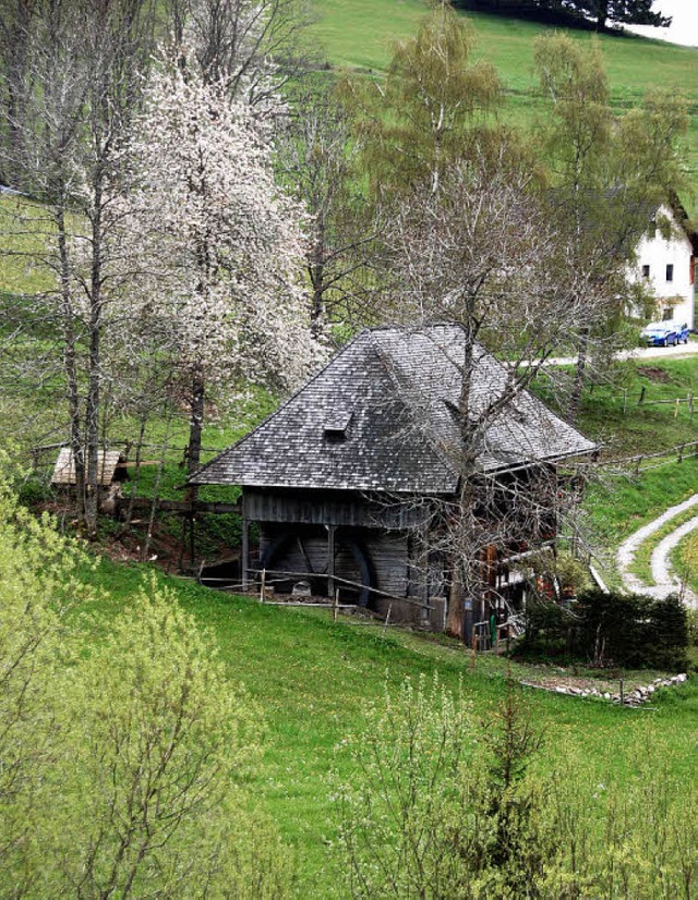 Ein beliebter Treff beim Mhlentag am ...der Schildwende bei Titisee-Neustadt.   | Foto: Thomas Winckelmann