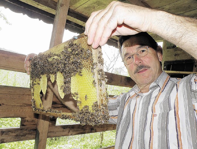 Den Bienen fehlt die Nahrung, Vlker s...evor es aus seiner Sicht zu spt ist.   | Foto: Beathalter