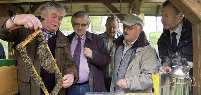 Regierungsprsident Julian Wrtenberge...ehrbienenstand die Imkerei erlutern.   | Foto: Martin Wunderle