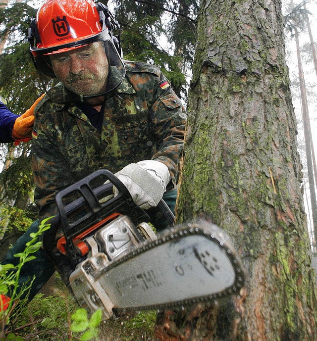 Die Gemeinde Ringsheim will in den nc...ren 29000 Festmeter Holz einschlagen.   | Foto: ddp