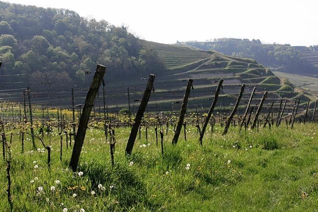 Kstlichkeiten am Kaiserstuhl