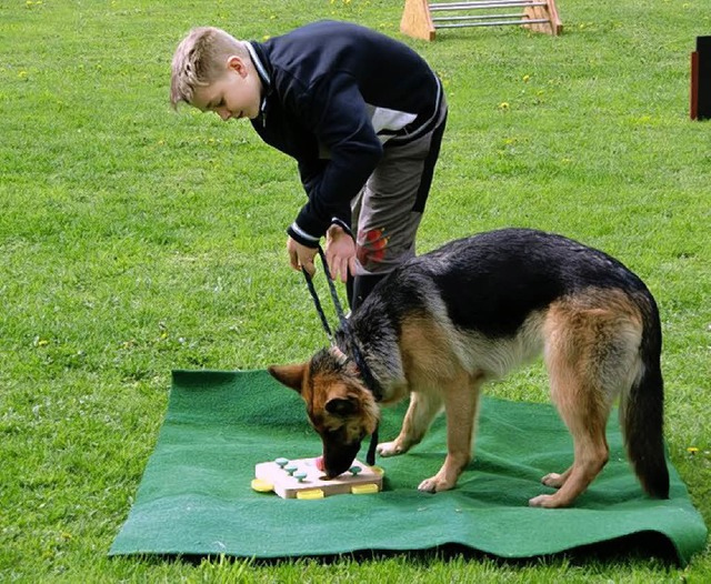 Verschiedenen Aufgaben und bungen wur...g am Trainingsplatz trainiert werden.   | Foto: ccm