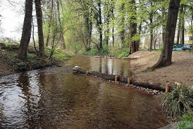 Stmme sollen den Wasserlauf leiten